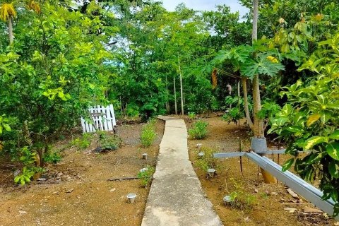 House in Phetchabun, Thailand 2 bedrooms № 167221 - photo 12