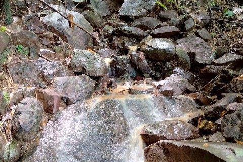 House in Phetchabun, Thailand 2 bedrooms № 167221 - photo 3