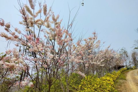 House in Phetchabun, Thailand 2 bedrooms № 167221 - photo 9