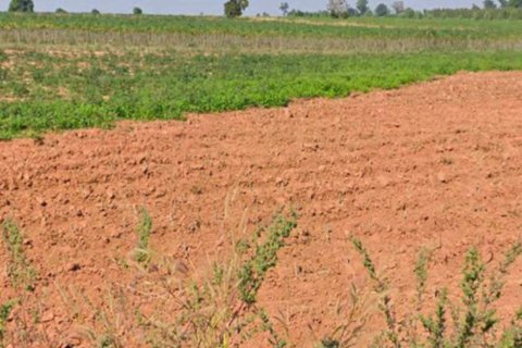 Terrain à Nakhon Ratchasima, Thaïlande 168000 m2 № 154829 - photo 4