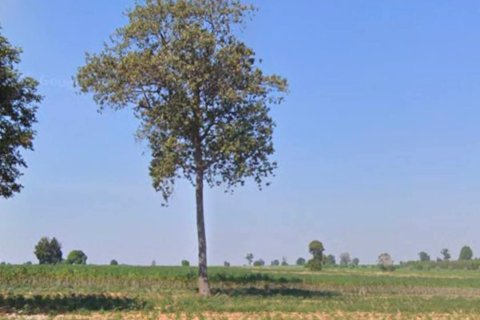 Terrain à Nakhon Ratchasima, Thaïlande 168000 m2 № 154829 - photo 2