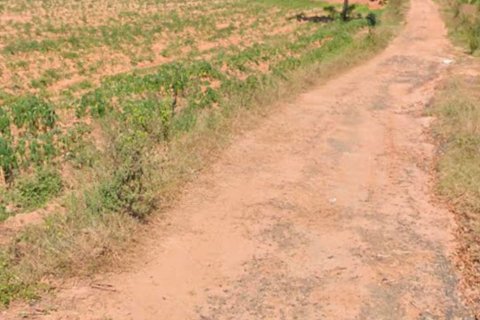 Terrain à Nakhon Ratchasima, Thaïlande 168000 m2 № 154829 - photo 3