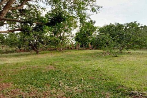 Дом в Чианграе, Таиланд с 3 спальнями  № 149776 - фото 4