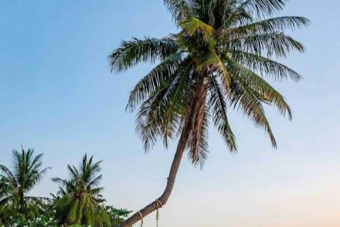 Hôtel à Phuket, Thaïlande № 151132 - photo 9