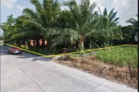 Terrain à Phang Nga, Thaïlande 41600 m2 № 156614 - photo 2