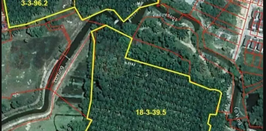 Terrain à Phang Nga, Thaïlande 41600 m2 № 156614