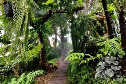 Вилла в Чиангмае, Таиланд с 5 спальнями  № 134027 - фото 9