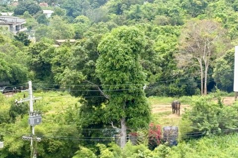 Дом в Самуи, Таиланд с 4 спальнями № 158897 - фото 22
