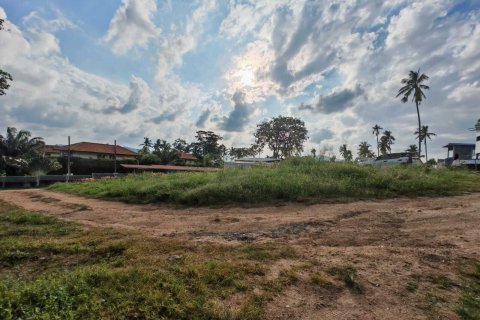 Terrain à Ko Samui, Thaïlande 2376.4 m2 № 159178 - photo 4