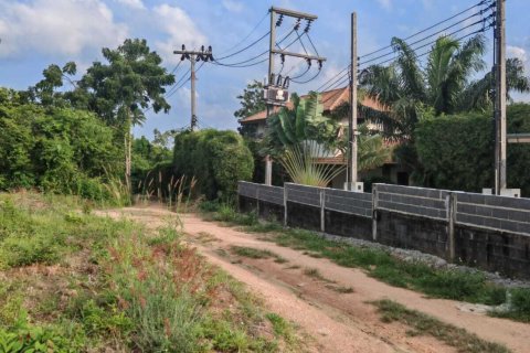 Terrain à Ko Samui, Thaïlande 2376.4 m2 № 159178 - photo 13