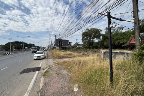 Земельный участок в Патхумтхани, Таиланд 62400м2  № 159183 - фото 2