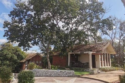 Terrain à Pak Chong, Thaïlande 35200 m2 № 148713 - photo 4