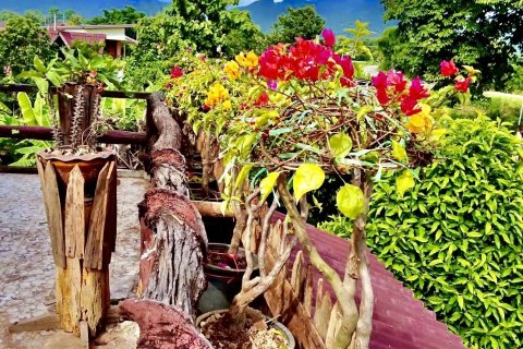 Земельный участок в Нане, Таиланд 1600м2  № 139077 - фото 5