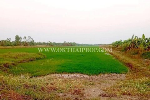 Terrain à Nakhon Nayok, Thaïlande 57220 m2 № 160439 - photo 2