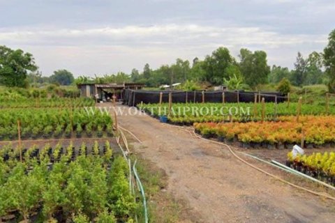 Terrain à Nakhon Nayok, Thaïlande 57220 m2 № 160439 - photo 5