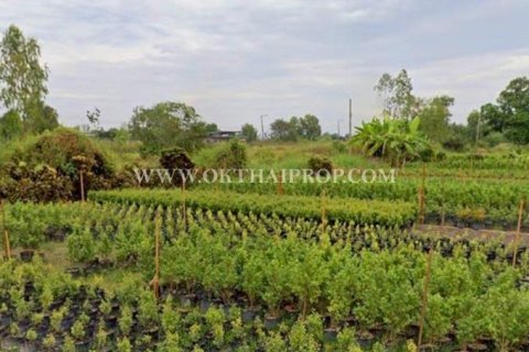 Terrain à Nakhon Nayok, Thaïlande 57220 m2 № 160439 - photo 4