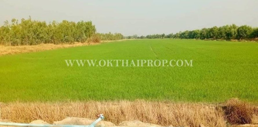 Terrain à Nakhon Nayok, Thaïlande 57220 m2 № 160439