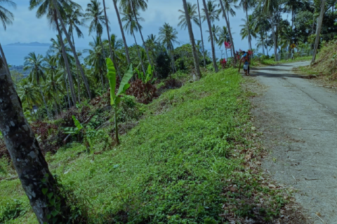 Terrain à Ko Samui, Thaïlande 1728 m2 № 160438 - photo 2
