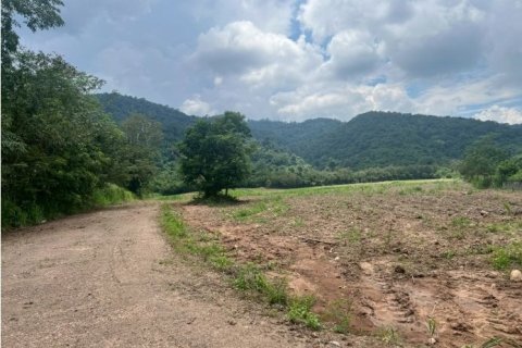 Land in Pak Chong, Thailand 49600 sq.m. № 163080 - photo 10