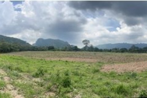 Land in Pak Chong, Thailand 49600 sq.m. № 163080