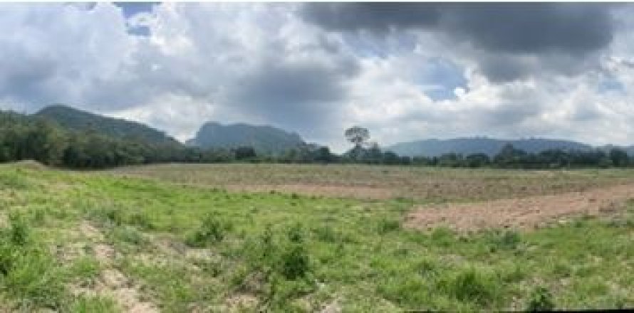 Land in Pak Chong, Thailand 49600 sq.m. № 163080