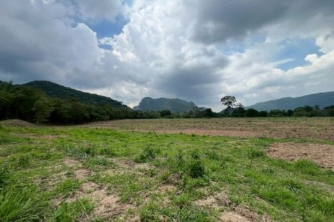 Land in Pak Chong, Thailand 49600 sq.m. № 163080 - photo 2