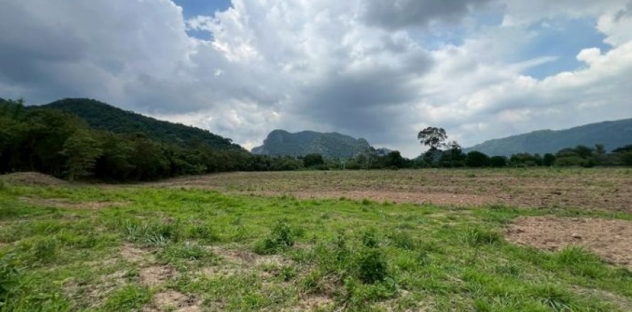 Land in Pak Chong, Thailand 49600 sq.m. № 163080