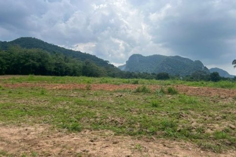 Land in Pak Chong, Thailand 49600 sq.m. № 163080 - photo 3