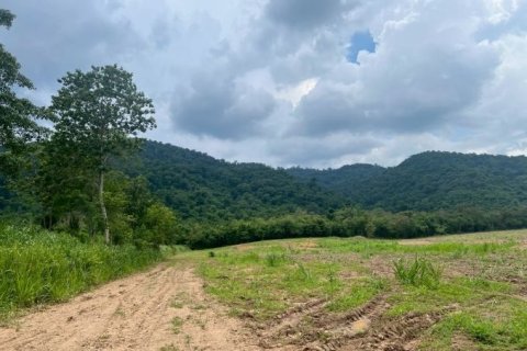 Land in Pak Chong, Thailand 49600 sq.m. № 163080 - photo 8