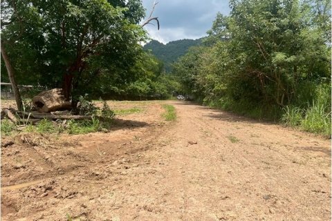 Land in Pak Chong, Thailand 49600 sq.m. № 163080 - photo 5