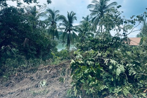 Земельный участок в Самуи, Таиланд 650м2  № 151465 - фото 7