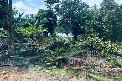 Земельный участок в Самуи, Таиланд 650м2  № 151465 - фото 1