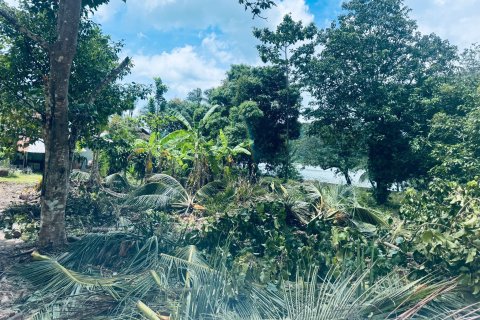 Земельный участок в Самуи, Таиланд 650м2  № 151465 - фото 3