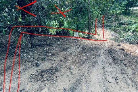 Земельный участок в Самуи, Таиланд 650м2  № 151465 - фото 6