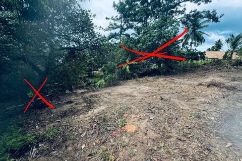 Земельный участок в Самуи, Таиланд 650м2  № 151465 - фото 5