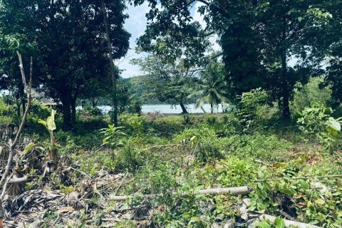 Земельный участок в Самуи, Таиланд 650м2  № 151465 - фото 4