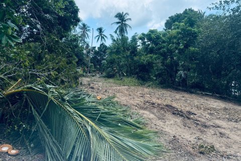 Земельный участок в Самуи, Таиланд 650м2  № 151465 - фото 8