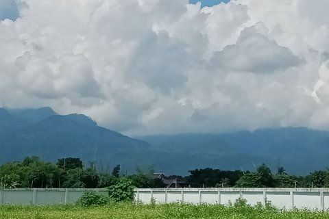 Land in Mae Rim, Thailand 1600 sq.m. № 136007 - photo 2