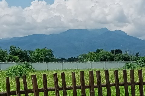 Land in Mae Rim, Thailand 1600 sq.m. № 136007 - photo 5