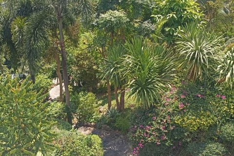 Villa in Ko Samui, Thailand 4 bedrooms № 170917 - photo 22