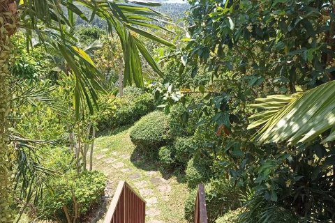 Villa in Ko Samui, Thailand 4 bedrooms № 170917 - photo 18