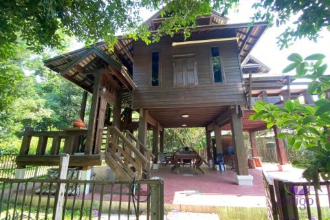 Maison à Mae Rim, Thaïlande 3 chambres № 200403