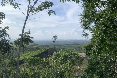 Земельный участок в Транге, Таиланд 8480м2  № 147963 - фото 2