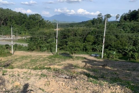 Земельный участок в Транге, Таиланд 8480м2  № 147963 - фото 9