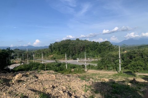 Земельный участок в Транге, Таиланд 8480м2  № 147963 - фото 10