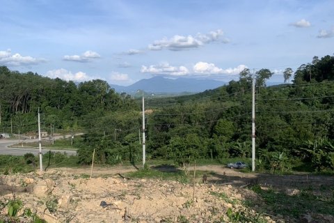 Земельный участок в Транге, Таиланд 8480м2  № 147963 - фото 12