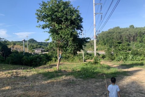 Земельный участок в Транге, Таиланд 8480м2  № 147963 - фото 6