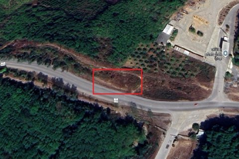 Земельный участок в Транге, Таиланд 8480м2  № 147963 - фото 16