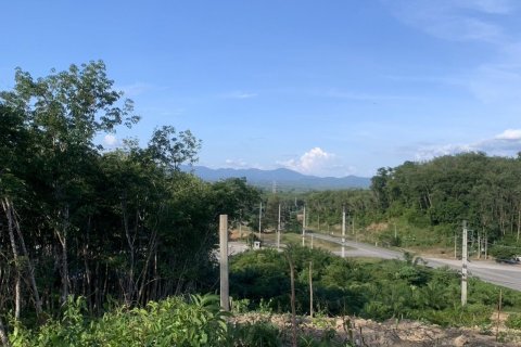 Земельный участок в Транге, Таиланд 8480м2  № 147963 - фото 14
