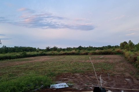 Земельный участок в Саконнакхоне, Таиланд 158163м2  № 163074 - фото 8